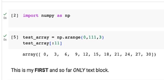 The final formatted version of the text in the text cell.